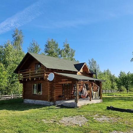 Musketeers Cabin Porumbacu de Sus Dış mekan fotoğraf