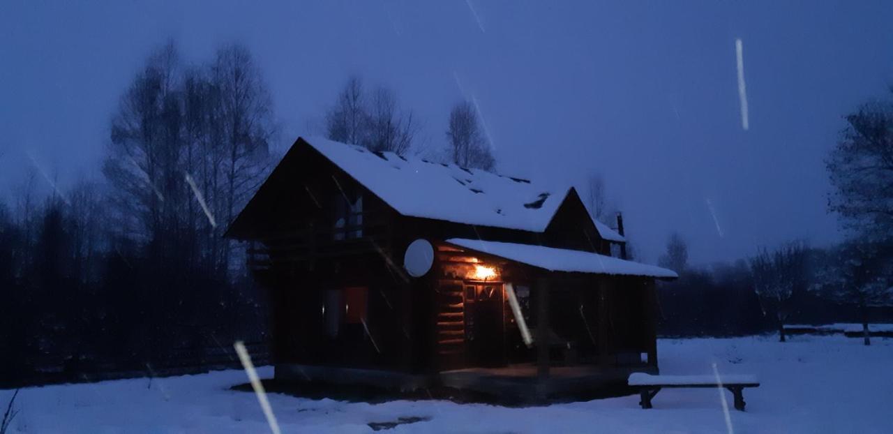Musketeers Cabin Porumbacu de Sus Dış mekan fotoğraf