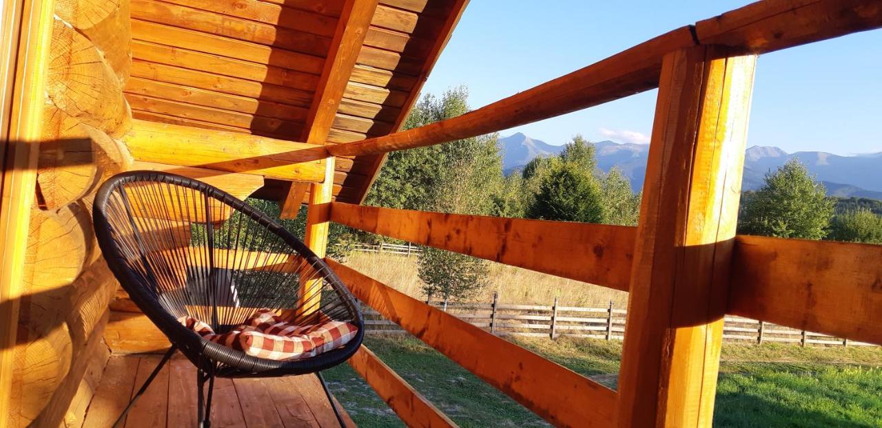 Musketeers Cabin Porumbacu de Sus Dış mekan fotoğraf