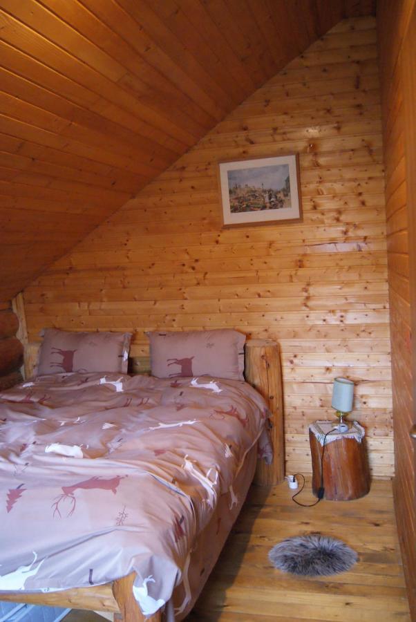 Musketeers Cabin Porumbacu de Sus Dış mekan fotoğraf