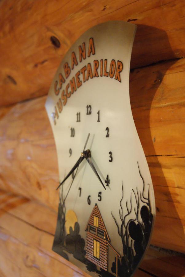 Musketeers Cabin Porumbacu de Sus Dış mekan fotoğraf