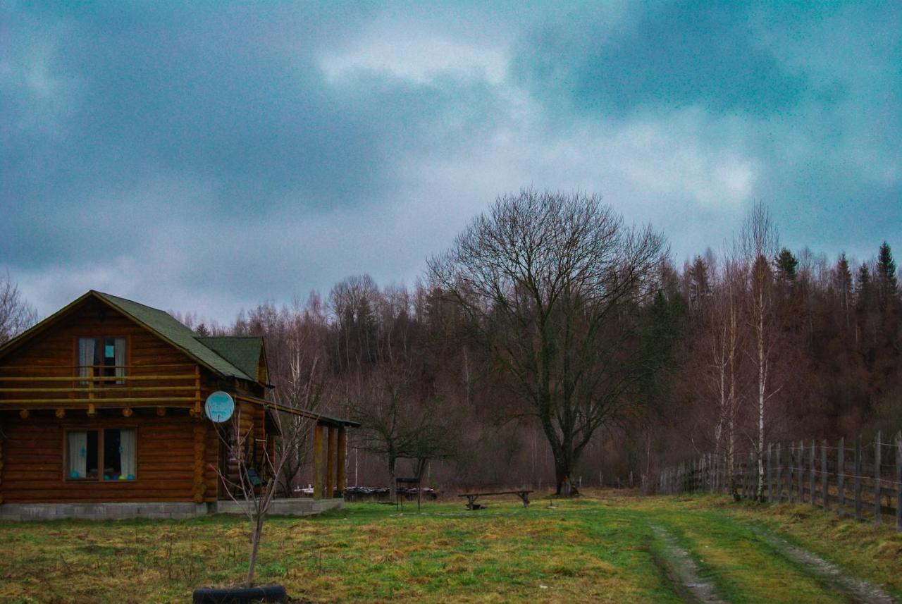 Musketeers Cabin Porumbacu de Sus Dış mekan fotoğraf
