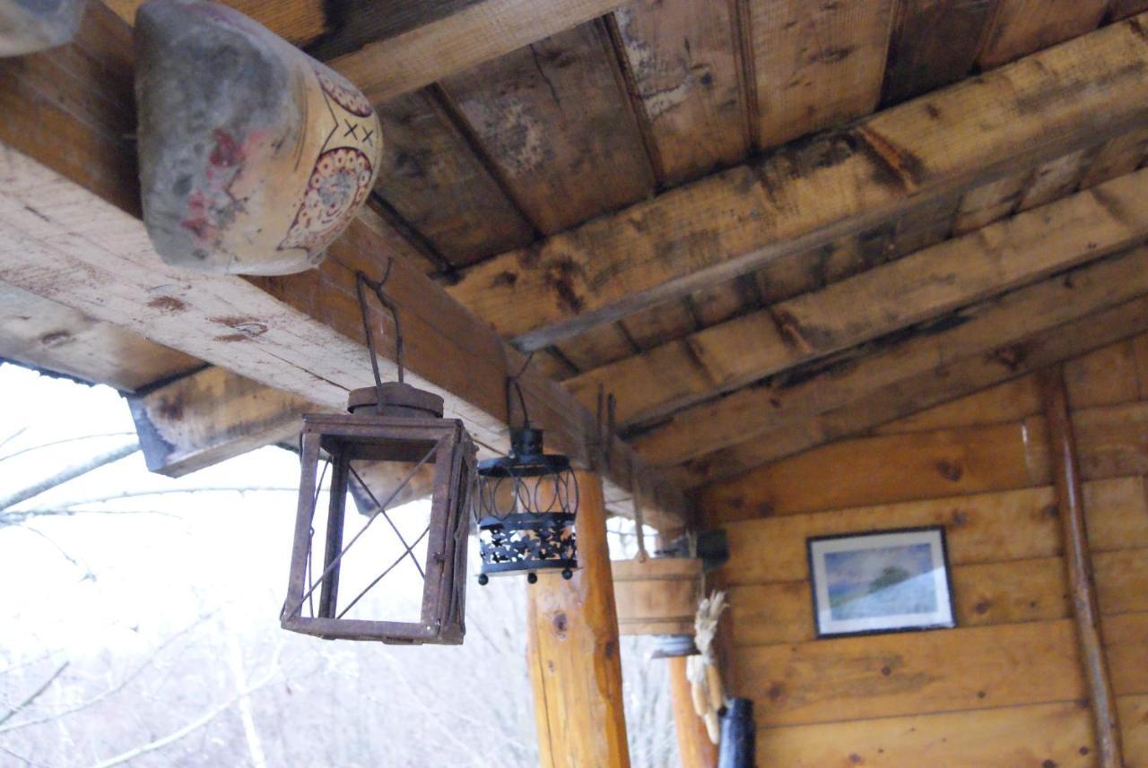 Musketeers Cabin Porumbacu de Sus Dış mekan fotoğraf