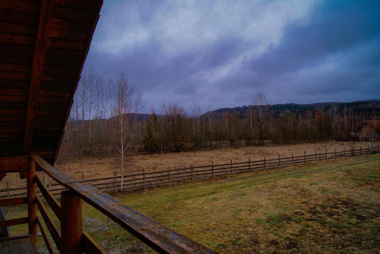 Musketeers Cabin Porumbacu de Sus Dış mekan fotoğraf