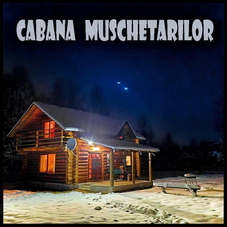 Musketeers Cabin Porumbacu de Sus Dış mekan fotoğraf