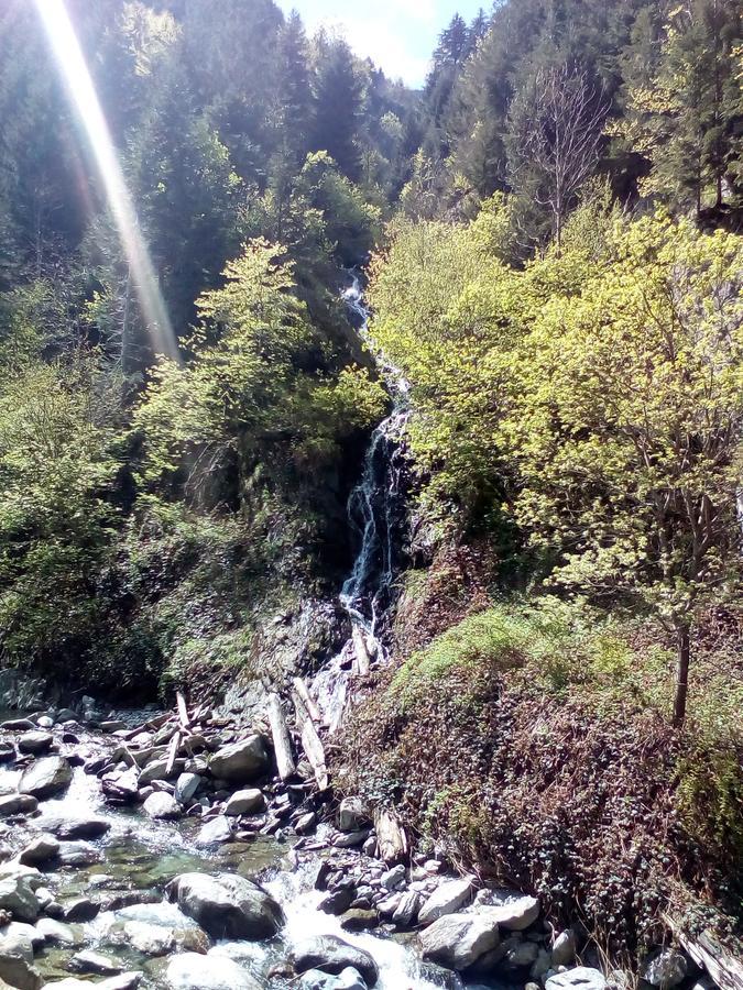 Musketeers Cabin Porumbacu de Sus Dış mekan fotoğraf