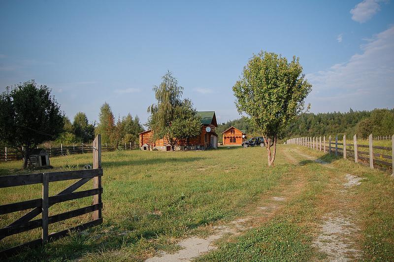 Musketeers Cabin Porumbacu de Sus Dış mekan fotoğraf