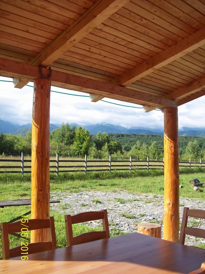Musketeers Cabin Porumbacu de Sus Dış mekan fotoğraf