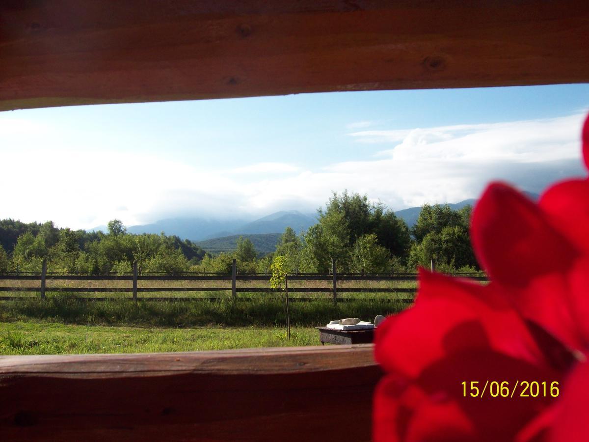 Musketeers Cabin Porumbacu de Sus Dış mekan fotoğraf