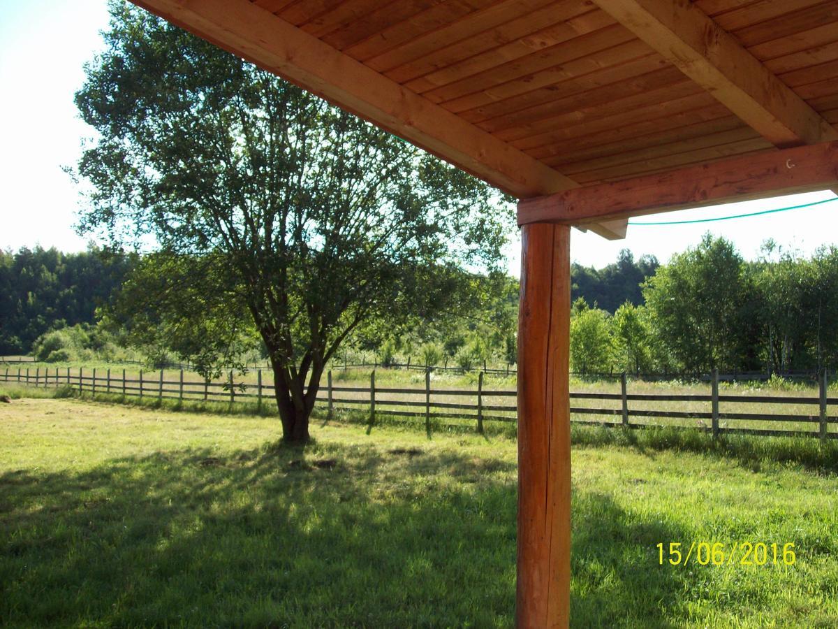 Musketeers Cabin Porumbacu de Sus Dış mekan fotoğraf