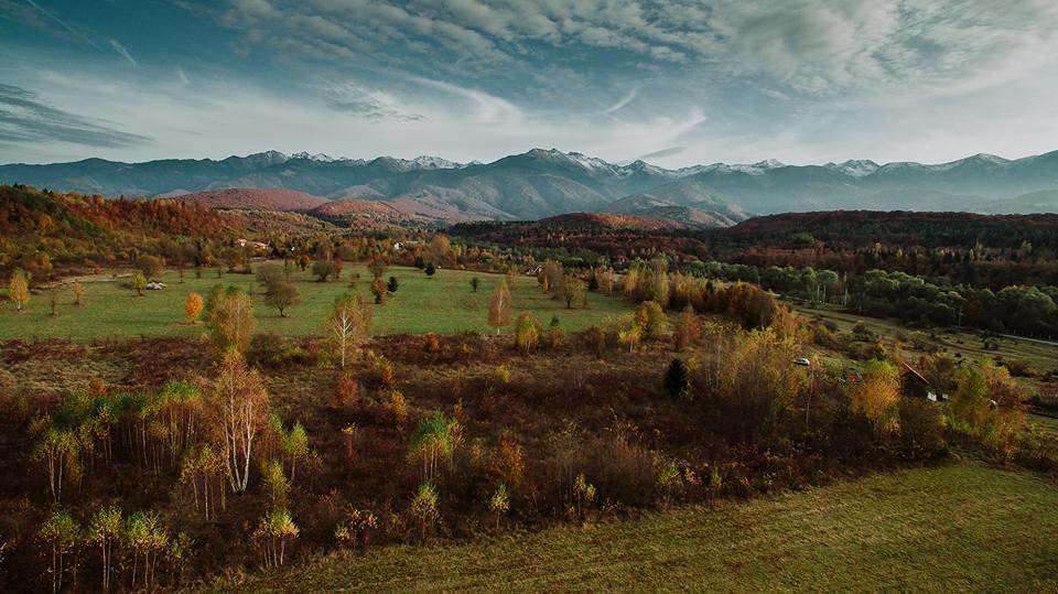 Musketeers Cabin Porumbacu de Sus Dış mekan fotoğraf