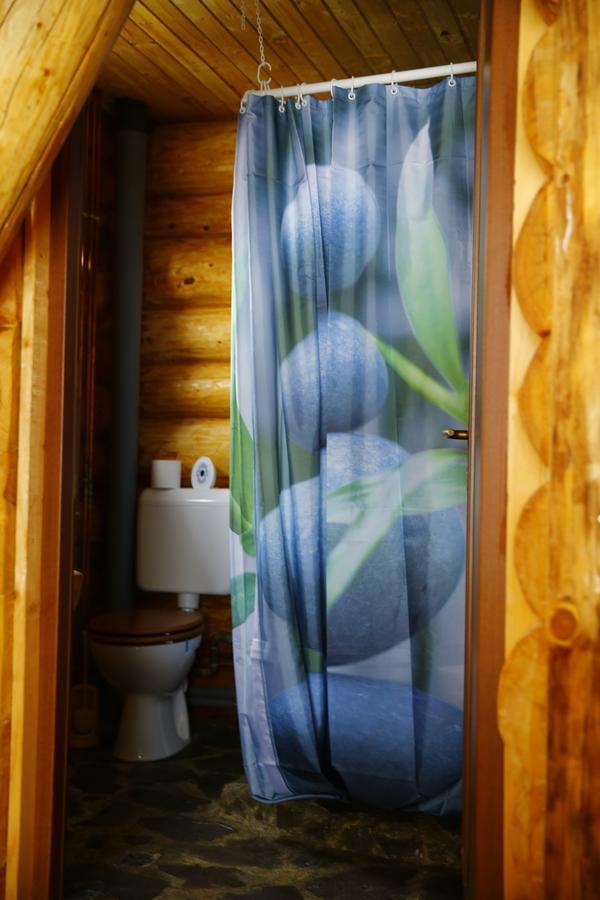 Musketeers Cabin Porumbacu de Sus Dış mekan fotoğraf