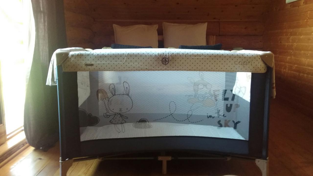 Musketeers Cabin Porumbacu de Sus Dış mekan fotoğraf