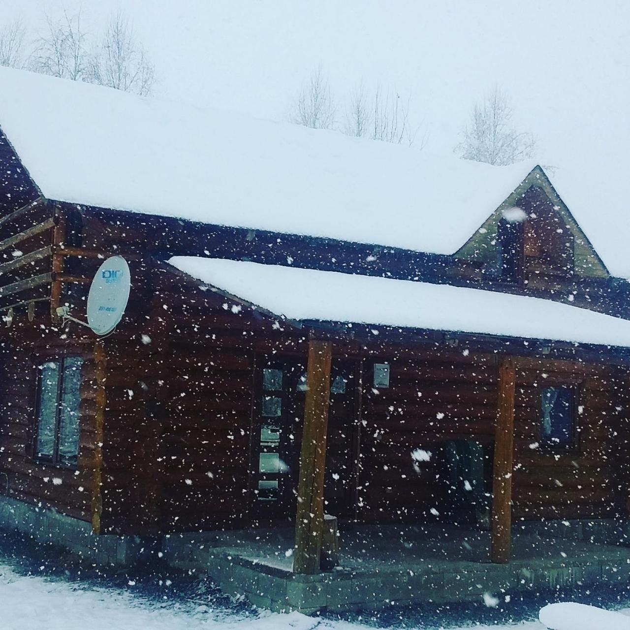 Musketeers Cabin Porumbacu de Sus Dış mekan fotoğraf