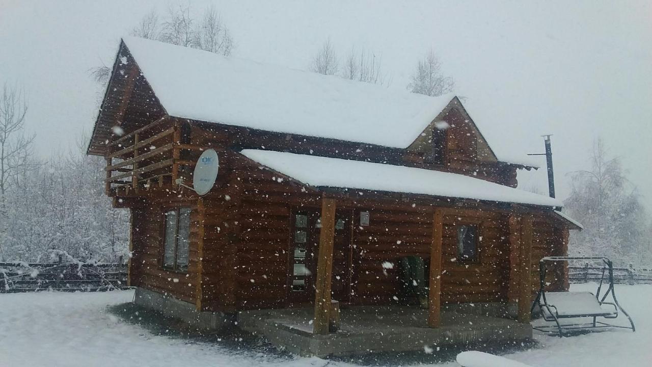 Musketeers Cabin Porumbacu de Sus Dış mekan fotoğraf