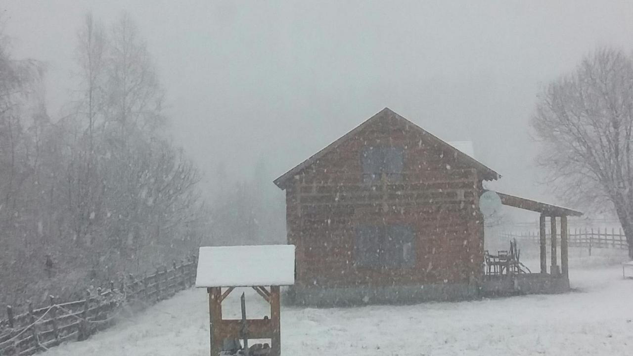 Musketeers Cabin Porumbacu de Sus Dış mekan fotoğraf
