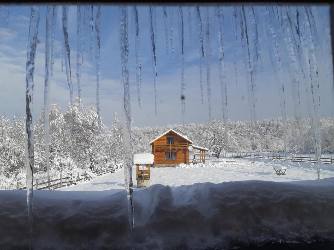 Musketeers Cabin Porumbacu de Sus Dış mekan fotoğraf