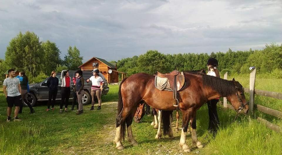 Musketeers Cabin Porumbacu de Sus Dış mekan fotoğraf