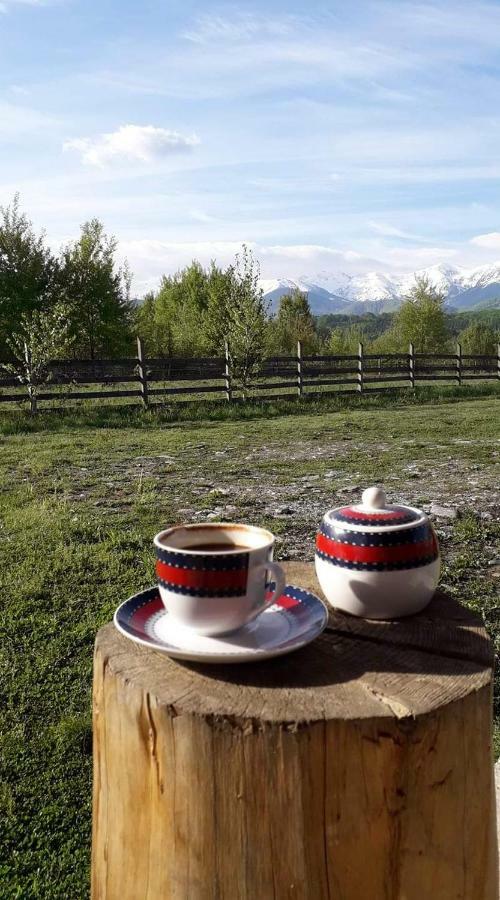 Musketeers Cabin Porumbacu de Sus Dış mekan fotoğraf