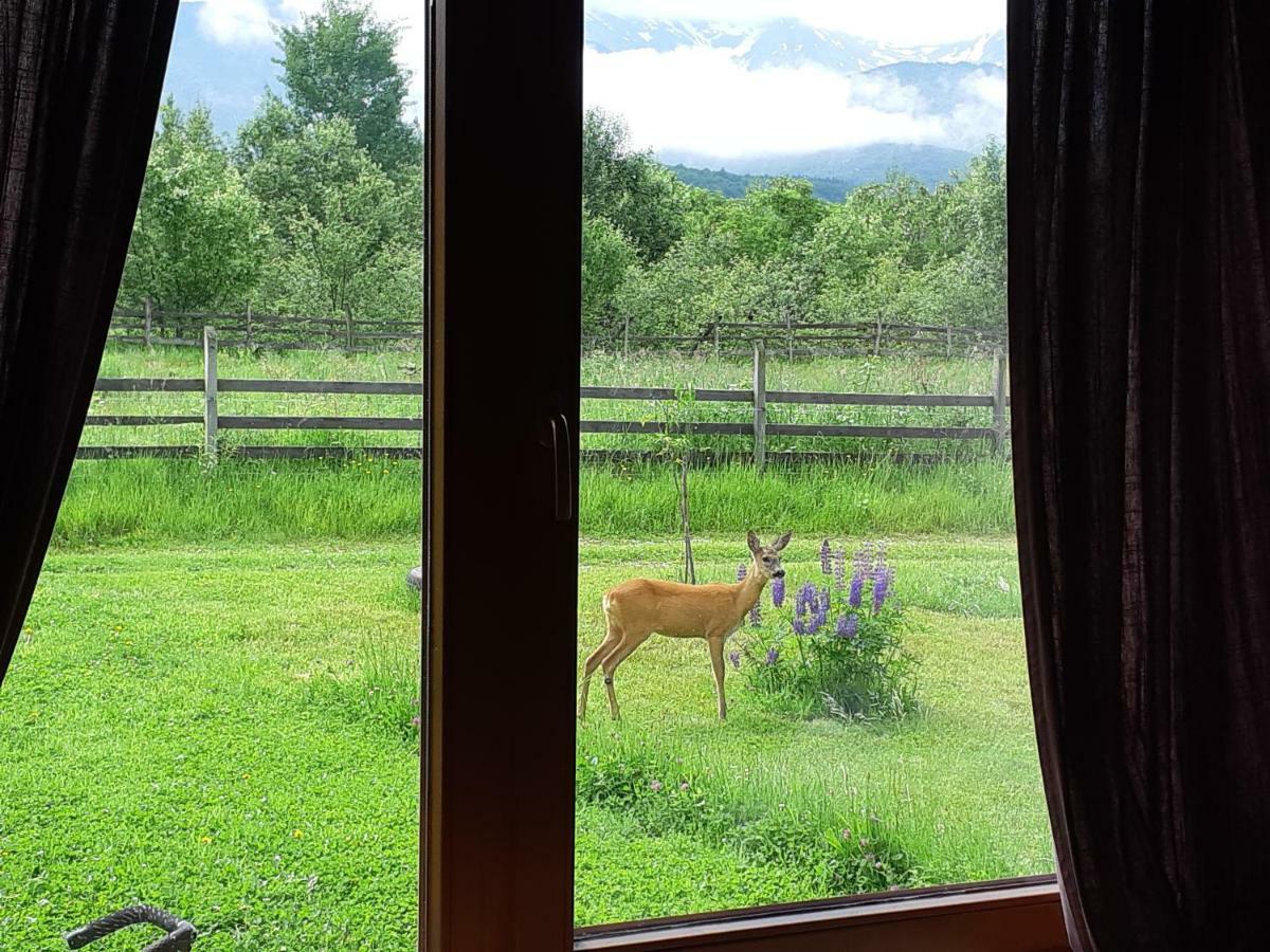 Musketeers Cabin Porumbacu de Sus Dış mekan fotoğraf